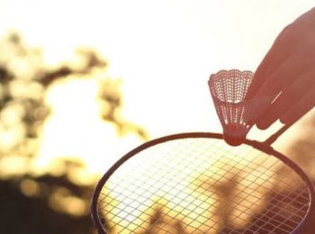 Badminton Association of India
